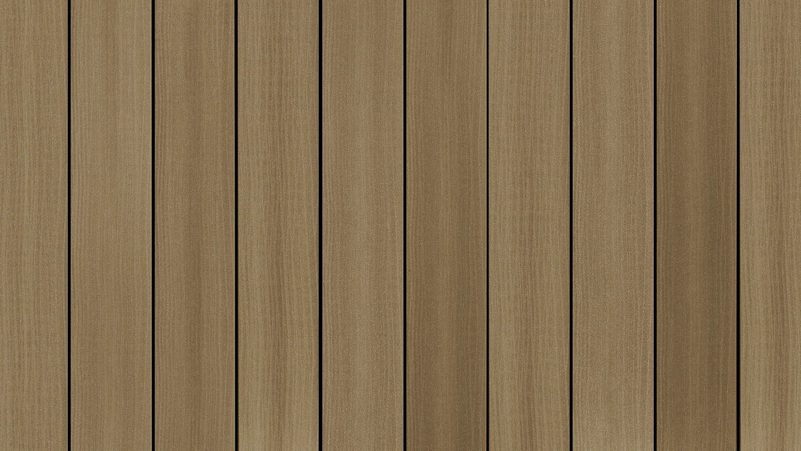 LIGNUM in tan, tan